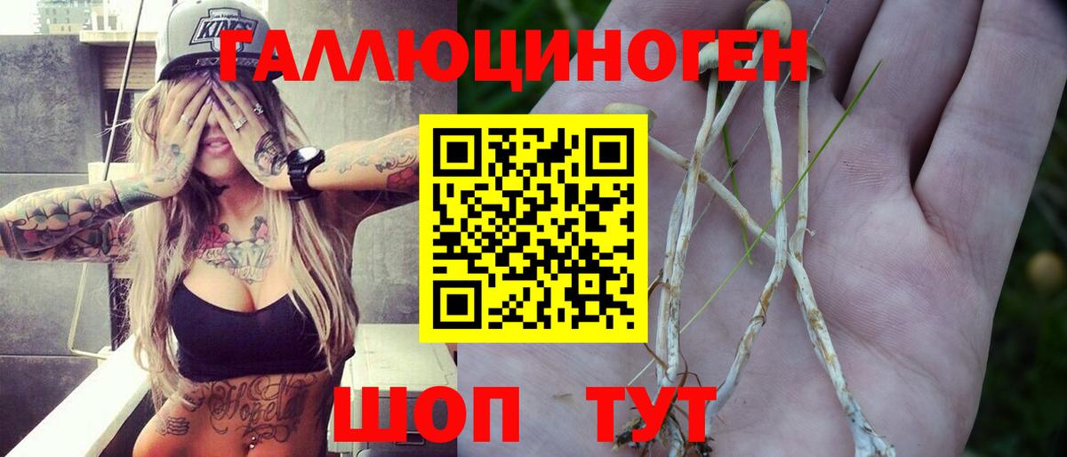 Псилоцибиновые грибы MAGIC MUSHROOMS  Вход с VPN  Псилоцибиновые грибы мицелий  Богородск 